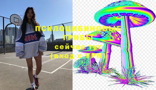 мдпв Инсар