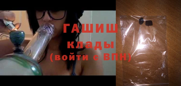 мдпв Инсар