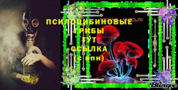 мдпв Инсар