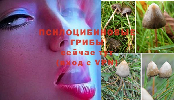 мдпв Иннополис