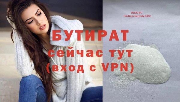 мдпв Инсар