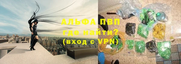 шишки Заволжье