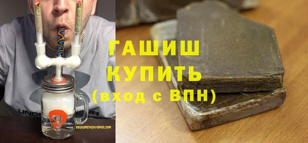 мдпв Инсар