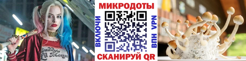 Галлюциногенные грибы Psilocybe как найти наркотики Мантурово